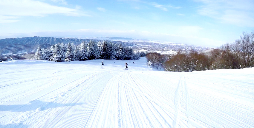 マウントレースイ