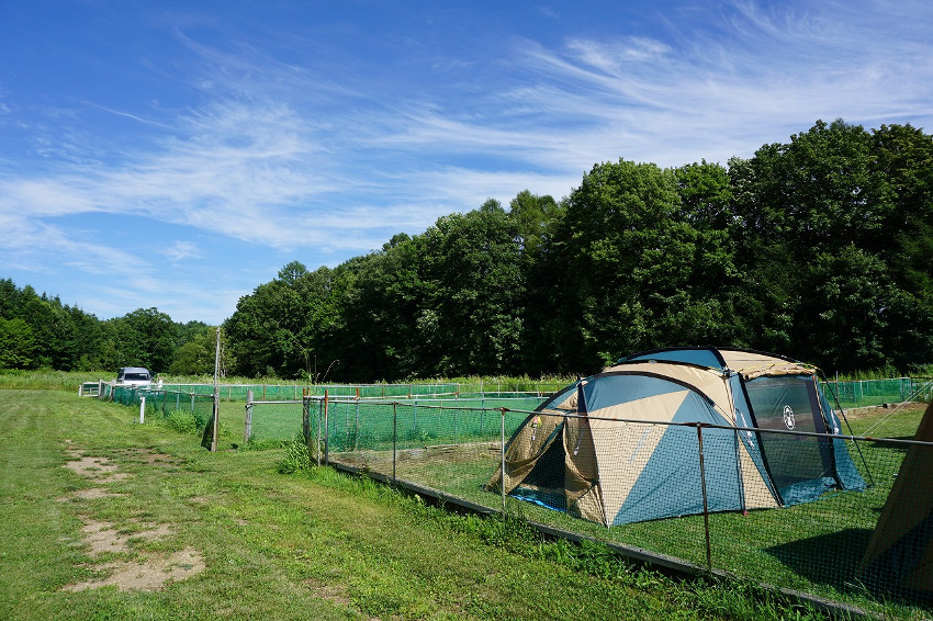 ファミリーパーク追分オートキャンプ場