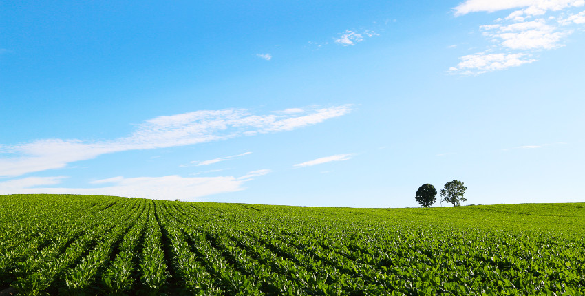 キャンピングカー