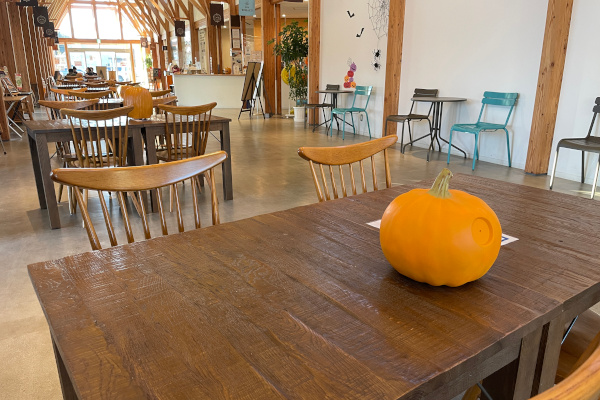 からまつコリドー