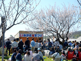 みかさ梅まつり