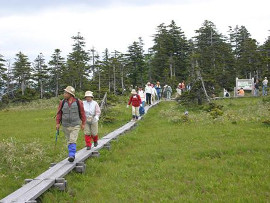 松山湿原とニウプ自然探勝