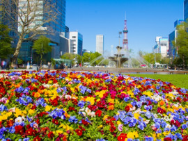 花フェスタ札幌