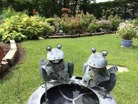 しかおい花フェスタ