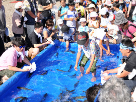 虎杖浜 かに・たらこ・温泉三大まつり