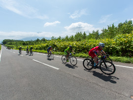 ニセコHANAZONOヒルクライム2019