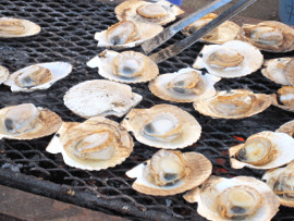 浜益ふるさと祭り