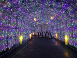 洞爺湖温泉イルミネーショントンネル