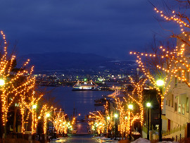 はこだてイルミネーション