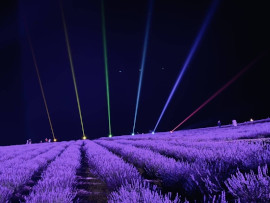 ラベンダーフェスタかみふらの