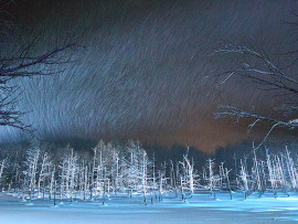 青い池・白ひげの滝ライトアップ