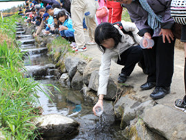 さっぽろサケフェスタ