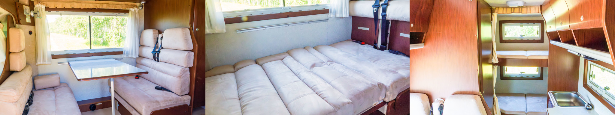 セレンゲティ内装