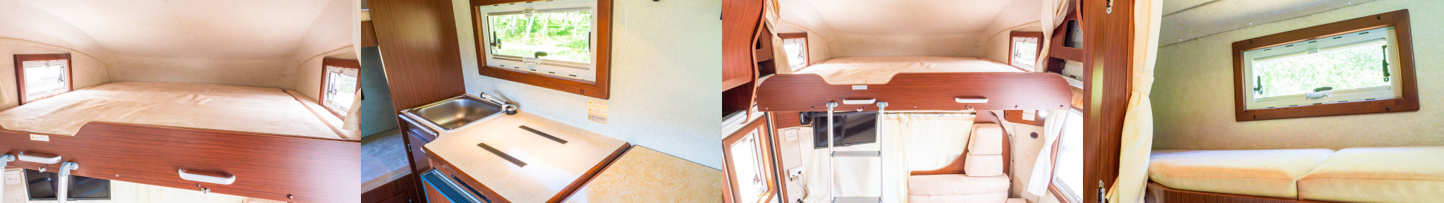 セレンゲティ内装