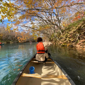 お客様からの写真