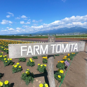 お客様からの写真