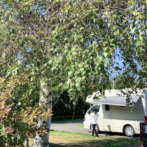 お客様からの写真