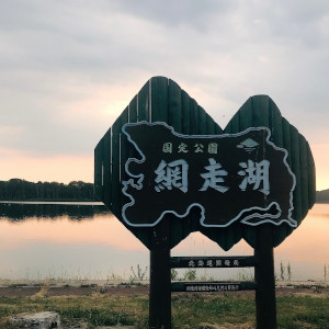 お客様からの写真