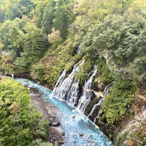 お客様からの写真