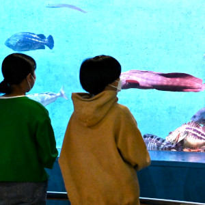 お客様からの写真