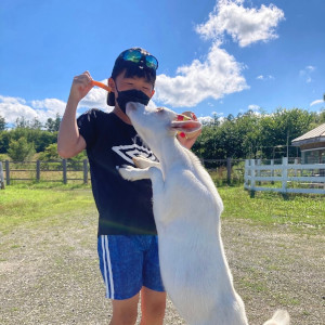 お客様からの写真