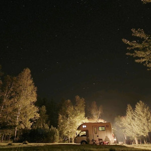 お客様からの写真