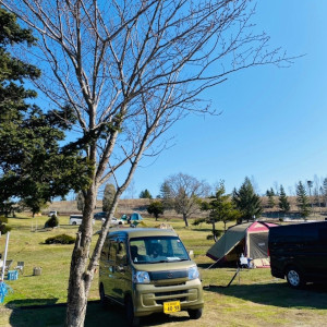 お客様からの写真