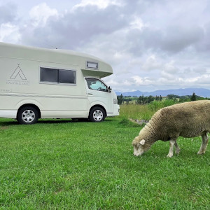 お客様からの写真