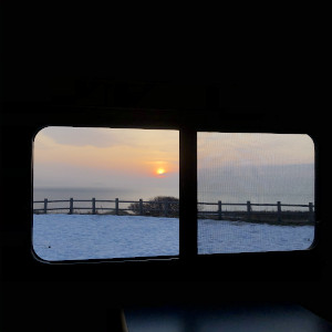 お客様からの写真