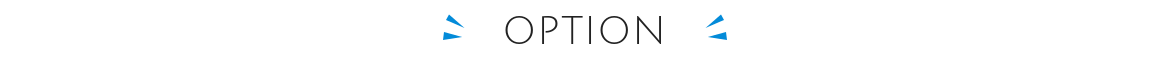 OPTION